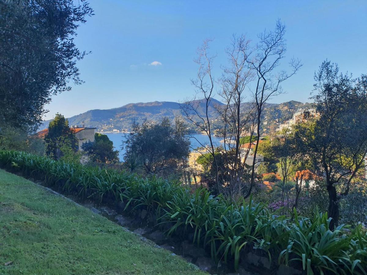 Agave Apartment Zoagli Bagian luar foto